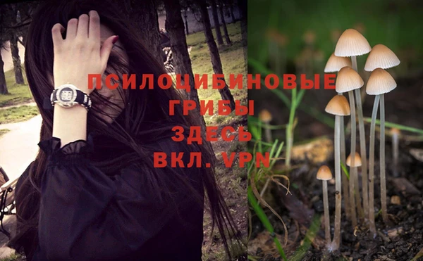 spice Саяногорск