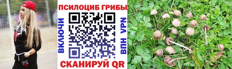 Галлюциногенные грибы Cubensis  darknet наркотические препараты  Бабушкин 